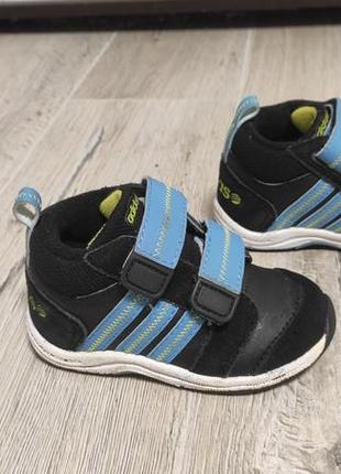 Кросівки adidas