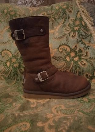 Уггі угги ugg