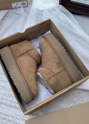 Ugg угги classic mini 3 см