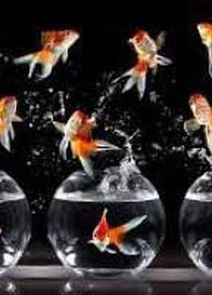 Алмазная мозаика dreamtoys золотая рыбка, на подрамнике 30*40см, (y0031)