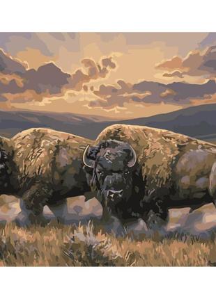 Набір для розпису за номерами "пара бізонів", 40х50 см з лаком та стратег., va-3348