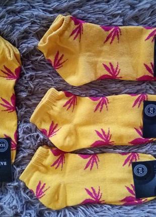 Шкарпетки жіночі