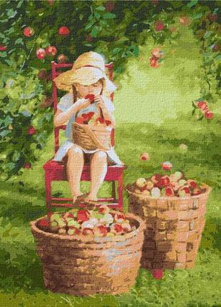 Картина по номерам идейка "яблочки" 40х50см, кно4788