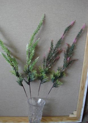 Квіти для інтер'єру верес