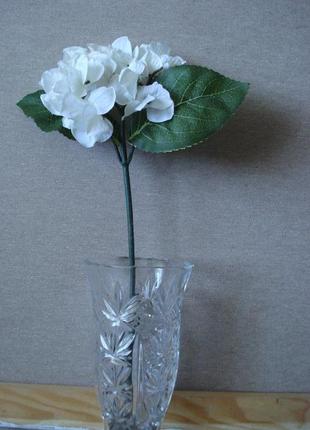 Цветы для интерьера