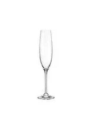 Набор бокалов для шампанских вин fulica 250мл. 6 шт. 1sf8600000250
