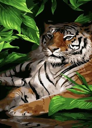 Набор для росписи по номерам тигр в письме стратег 50х25см (ww025)