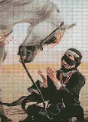 Набор для творчества алмазная картина в пустыне с лошадью стратег 30х40см (kb038)