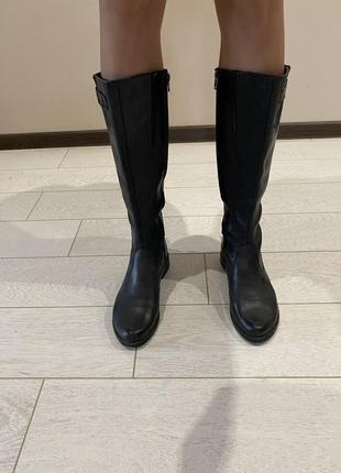 Стильні сапоги натуральна шкіра шкіряні труби жокейки нова колекція модні на низькому осінь знижки