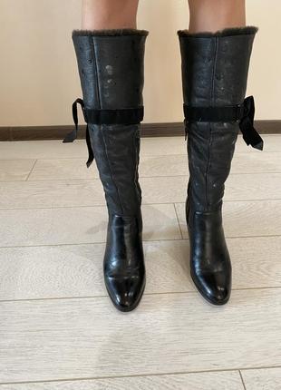 Стильні сапоги натуральна шкіра шкіряні хутро теплі зручні знижки недорого нова колекція