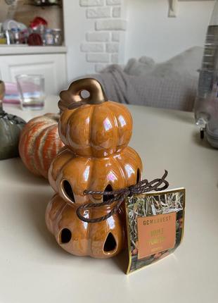 Декор гарбуз з  запахом гарбуза, можно вставити свічу