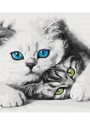 Картина за номерами brushme муркотики 40*50, bs51695