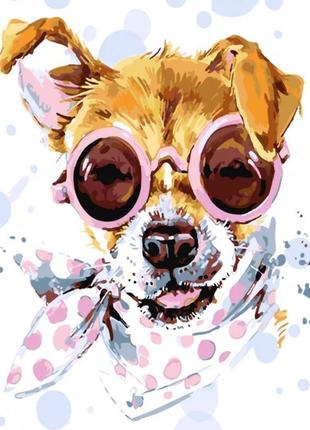 Картина по номерам собака в очках strateg с лаком 30х40 см, ss-6423