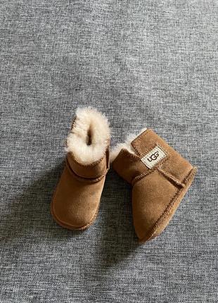 Сапоги угги ugg натуральная овчина