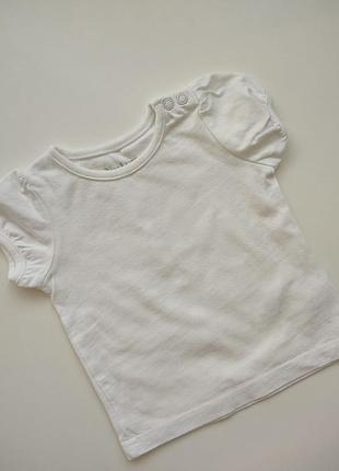 Базовая футболка nutmeg