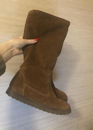 Замшевые сапоги