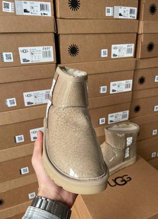 Угги ugg classic clear mini white6 фото