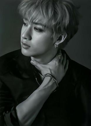 Постер бан кристофер стрей кидс bang chang stray kids art 3