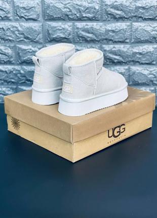 Сапоги ugg женские серые подростковые зимние сапоги угги уг уггі3 фото