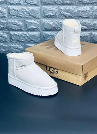 Сапоги ugg женские серые подростковые зимние сапоги угги уг уггі6 фото