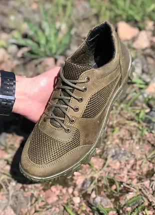 Кросівки тактичні, шершень олива