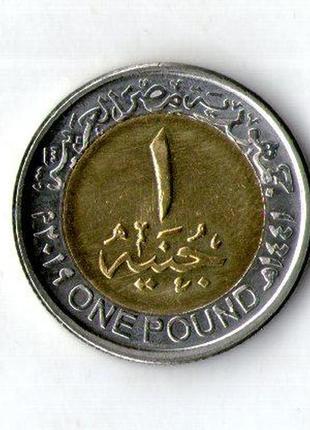 Египет › арабская республика египет › 1 фунт 2019 80 лет министерству социальной солидарности №13572 фото
