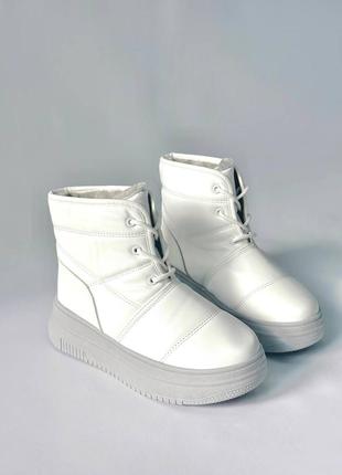 Зимние женские ботинки boots alvari milk & grey