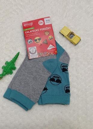 Шкарпетки, носки для хлопчика 23-261 фото