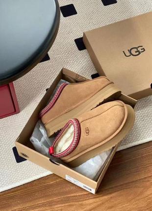 Ugg tasman slippers platform chestnut