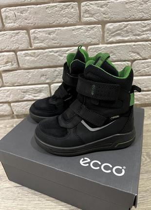 Продам зимние ботинки ecco