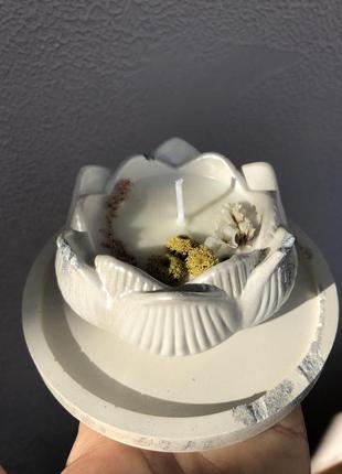 Соевые свечи