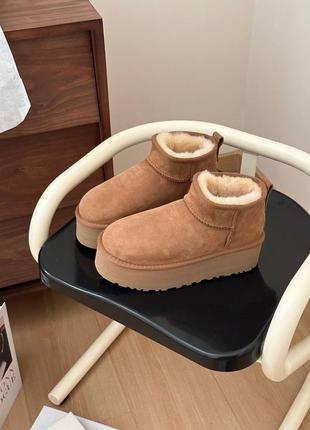 Ugg classic ultra mini platform boot chestnut2 фото