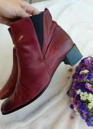 Ботинки сапожки челси натуральная кожа с удлиненным носиком3 фото