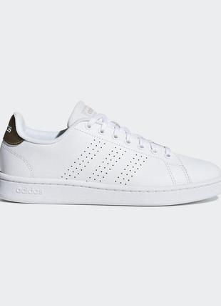 Кросівки для тенісу adidas advantage f362231 фото