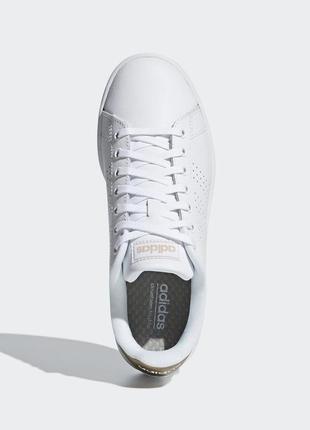 Кросівки для тенісу adidas advantage f362233 фото