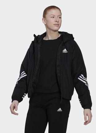 Куртка з капюшоном back to sport sportswear hg6006