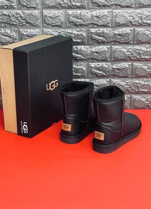 Уггі ugg australia жіночі натуральна шкіра/хутро стильні угг високі, хіт продаж!4 фото