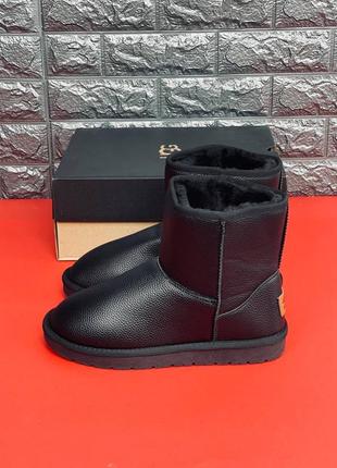 Уггі ugg australia жіночі натуральна шкіра/хутро стильні угг високі, хіт продаж!2 фото