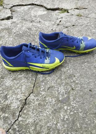 Сороконіжки