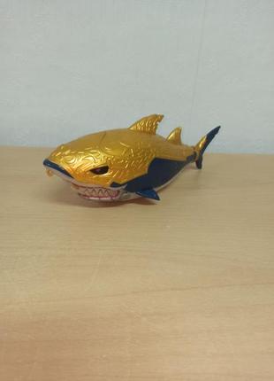 Золотая акула