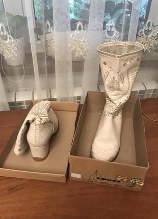 Стильные, классические, современные сапожки