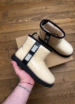 Уггі ugg