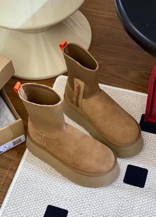 Угги ugg classic dipper boot chestnut black коричневые черные