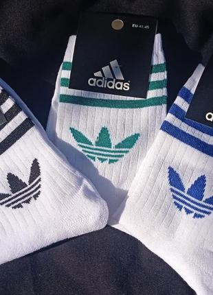 Высокие носки адидас adidas1 фото