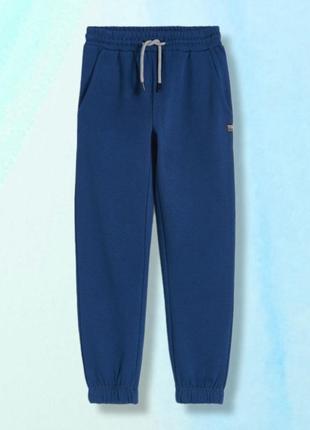 Теплі спортивні дитячі штани з начосом reserved 146