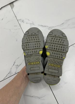 Брендовые кожаные кроссовки geox8 фото