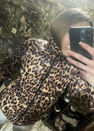 Куртка в ідеальному стані . підійде на розмір s