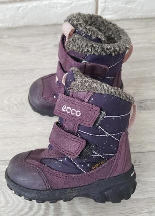 Продам зимние ботинки ecco р. 20