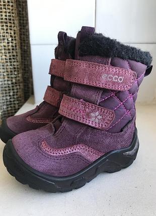 Сапожки ecco, gore-tex 22р. оригинал