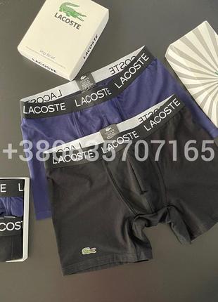 Хіт. чоловіча білизна lacoste black2 фото